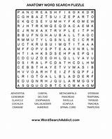 Pictures of Medical Word Search Puzzles
