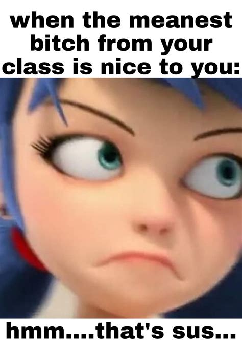 Pin by Jenna Kilbourne on Ladybug and cat noir | Miraculous ladybug