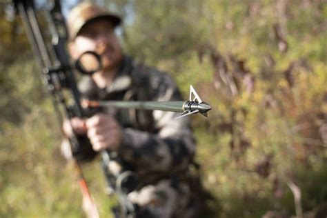 Best Broadheads For Whitetail Bowhunting Bowhunt 101