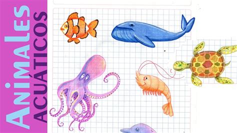 Como Dibujar Animales Marinos Acuáticos Mar Tutorial Ilustra Show Youtube