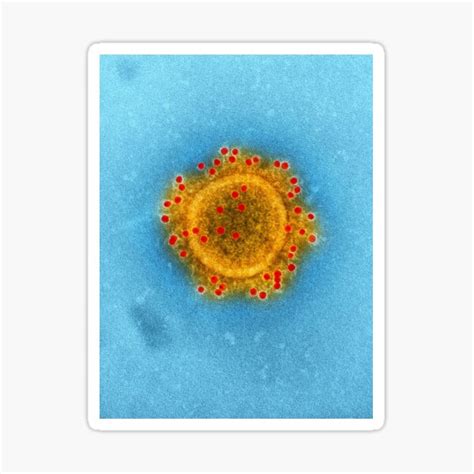 Germ Cell Bacteria Like Sunflower Sticker For Sale By Avasmix