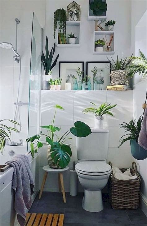 Small Bathroom Plants Decor