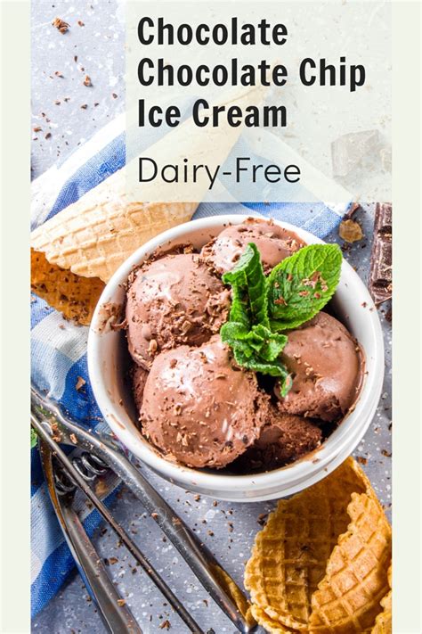 Dairy Free Chocolate Chocolate Chip Ice Cream Recipe