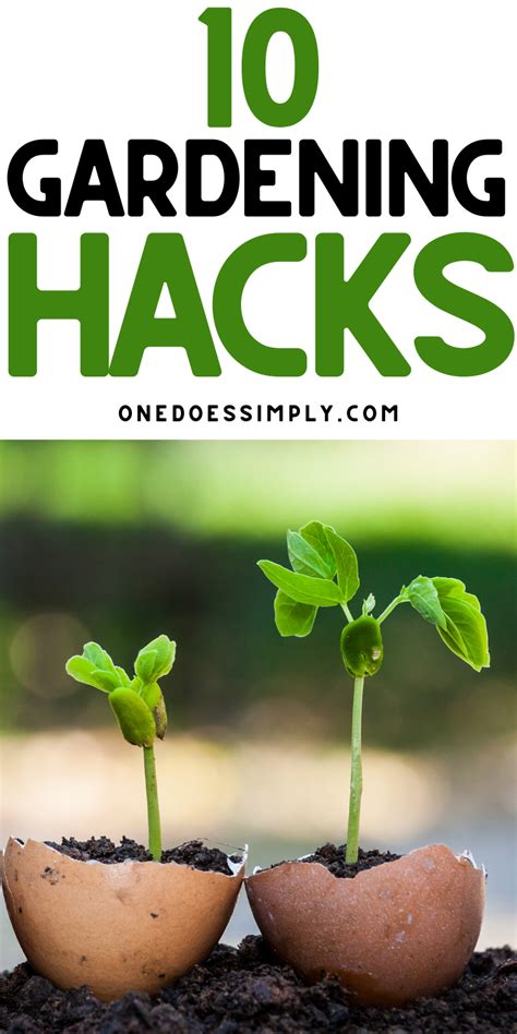 10 brilliant gardening hacks you should try one does simply garden hacks diy diy garden