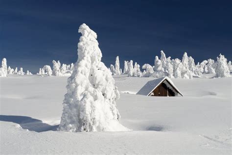 Snowy Plain With A Snowbound Hut Stock Image Image 36101683