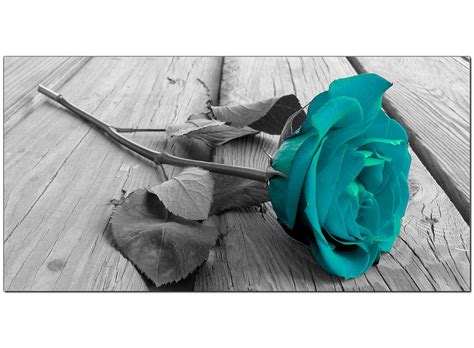 We did not find results for: Modern Black and White Canvas Wall Art of a Teal Rose Flower