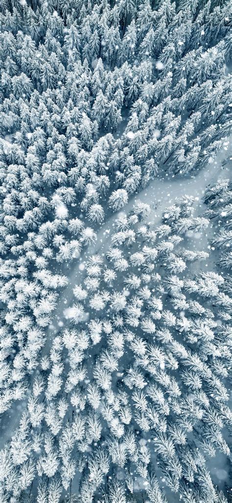 Suchen nach dem besten hintergrundbild?. Winterbilder Tiere Als Hintergrundbild : Bilder Von ...