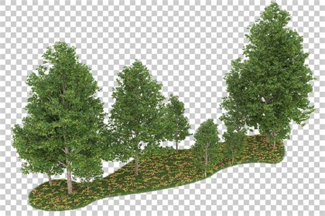 Premium Psd Forest On Transparent Background 3d Rendering Illustration
