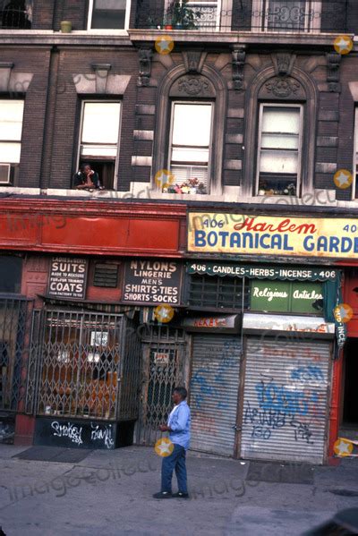 Photos And Pictures The Slums Of The South Bronx New York City 02