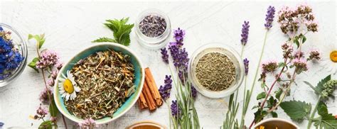 Your Ultimate Guide To The Top 25 Herbal Medicines Holland And Barrett