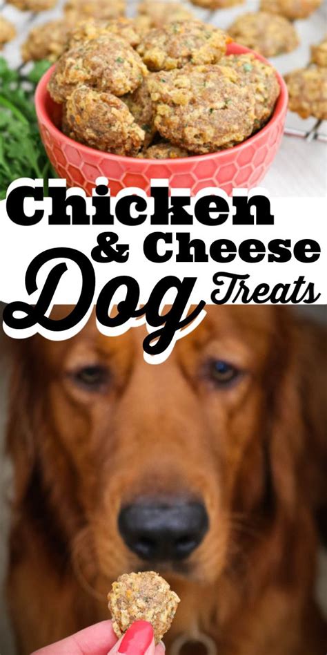 Chicken and Cheese Dog Treats | Dog treats homemade recipes, Easy dog