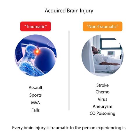 Concussion Tbi And Hypoxic Brain Injury Recovery Patient Guide