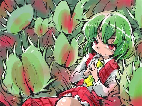 Kazami Yuuka Touhou Drawn By Shinapuu Danbooru