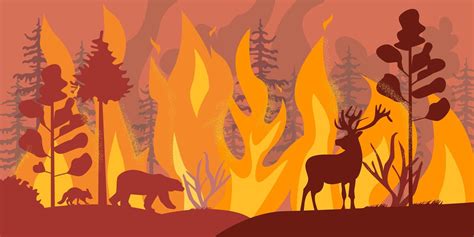Silhouettes Of Wild Animals At Forest Fire Fire Vector Vector Art