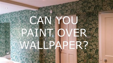 Unduh 55 Can You Paint Over Wallpaper With A Border Foto Populer