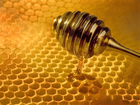 Collection Of Awesome Honeypots