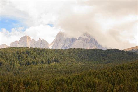 The Italian Forest That Has The Sound Of Violins Italy Magazine