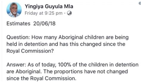 All Children In Detention In The Nt Are Indigenous It Is Revealed