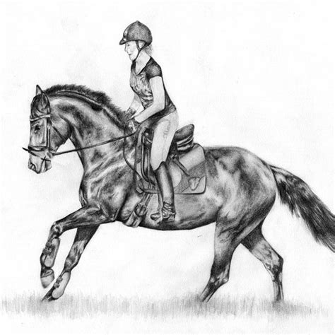 Malvorlage Pferd Pferd Mit Reiter Zeichnen Robert Levin Schule