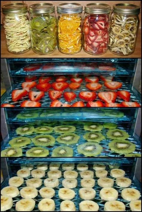 Freeze Drying Food At Home 3 Easy Methods Preppers Will