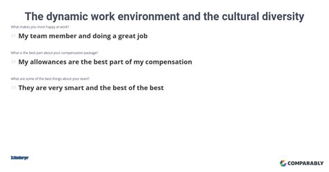 Schlumberger The Dynamic Work Environment And The Cultural Diversity