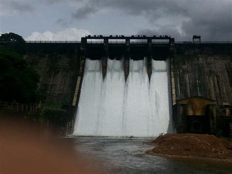 We did not find results for: Chimmony Dam (Thrissur) - 2020 All You Need to Know BEFORE You Go (with Photos) - Tripadvisor