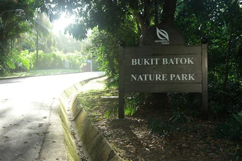 Together with the neighbouring bukit batok nature park, bukit batok town park occupies 77 hectares of land in bukit batok planning area, which covers the subzones bukit gombak, hong kah, brickworks and hillview. Bukit Batok Nature Park | 1step1footprint