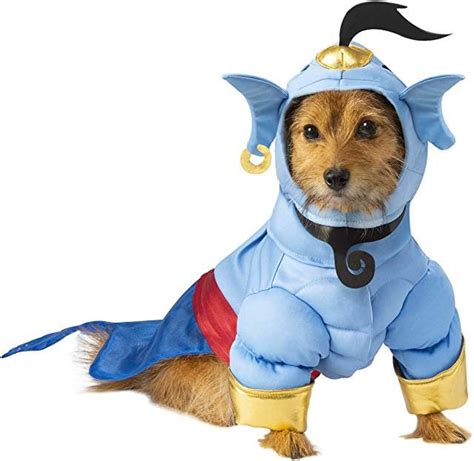 See the search faq for details. Genie Dog Halloween Costume | Disney Halloween Costumes ...