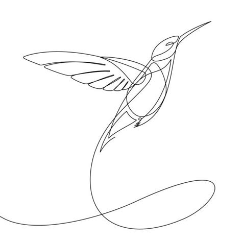 Maybe you would like to learn more about one of these? Continuous Line Illustrations, Royalty-Free Vector ...
