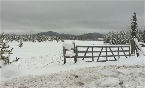 Northern Interior British Columbia 2016 Winter On The Farm Topley