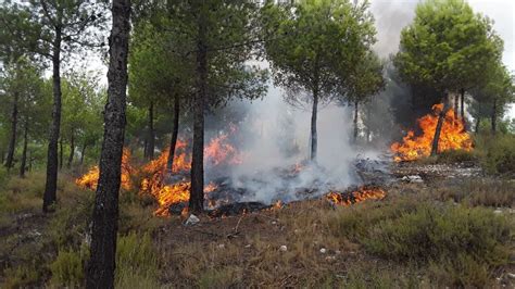 Un grave incendio è avvenuto ad abbasanta. Un incendio forestal afecta a la sierra del Torrater de ...