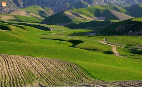 بهار در تپه‌های دشت شادیان، مزار شریف ویب سایت خبری کلید گروپ Golf