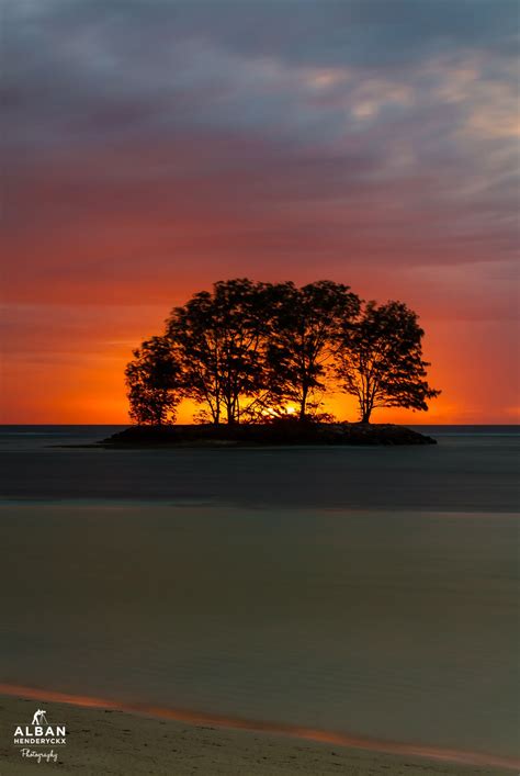 Tree Of Fire Sunset Photography Breathtaking Photography Beautiful