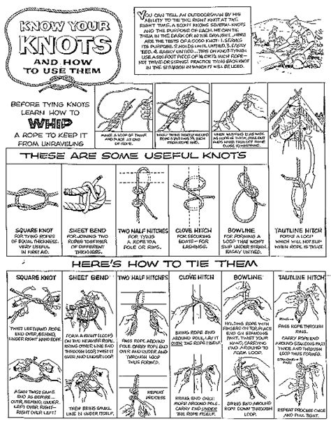 free printable knot tying guide databasepoi