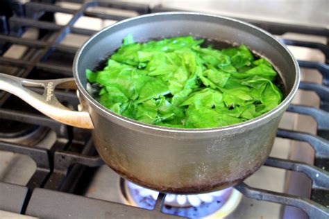 Blanching is used to soften some vegetables for further cooking in another form, i.e. spinach-blanching