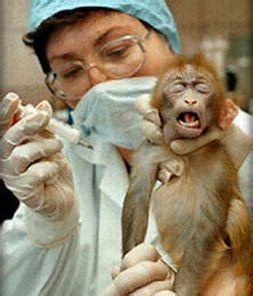 Cosmetic Testing On Animals