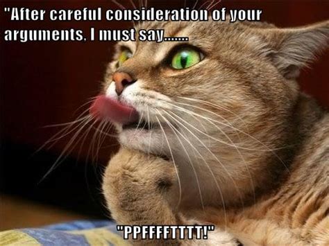 Hilarious animal meme for anniversary. To be Specific... - Lolcats - lol | cat memes | funny cats ...