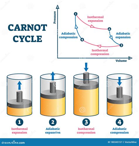 Carnot Cycle Vector Illustration Labeled Educational Thermodynamic
