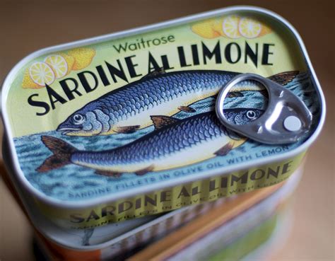 Sardine Tin Fish Product And Ways To Use Them Frozen Sardine Fish