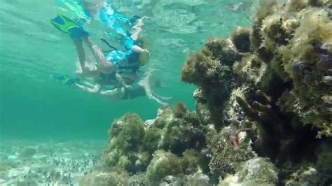 Snorkeling Old Man Bay Grand Cayman Youtube