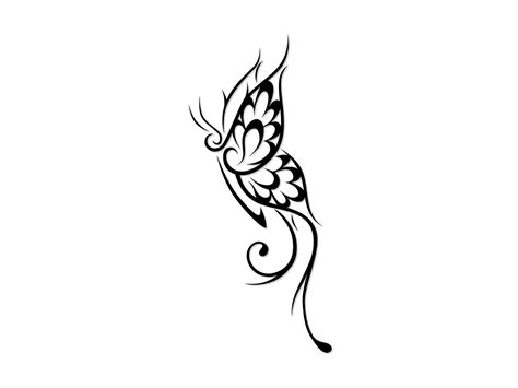 Tribal Butterfly Drawing At Getdrawings Free Download