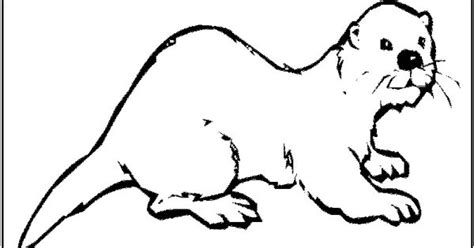 Otter Coloring Page Of Otter Preschool Pinterest Otters