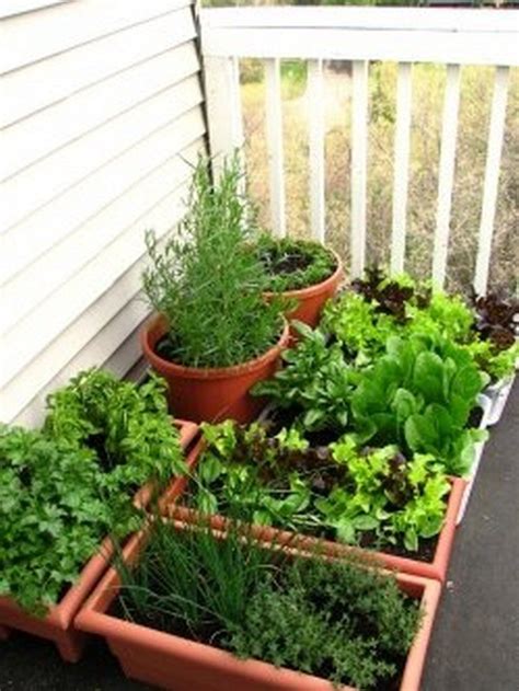 80 Container Gardening Patio Small Spaces Small Vegetable Gardens