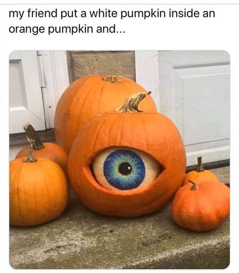 100 Todays Most Funny Memes Halloween Pumpkin Pumpkin Carving
