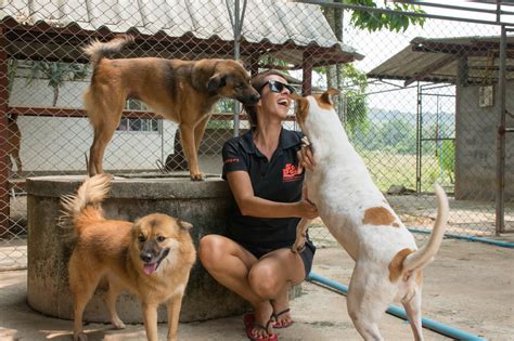 Around The World Animal Lovers Are Helping Fido And Fluffy Find A Home