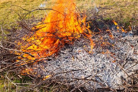 A Pile Of Dry Tree Branches Burns With A Bright Flame Waste