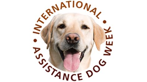 International Assistance Dog Week 2013 Anything Pawsable