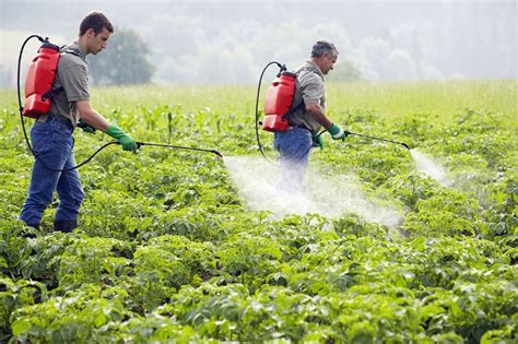 ‘big Farmer Firms Plan Pesticides To Manipulate Gene Expression New