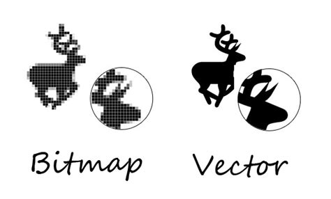 Contoh Bitmap Dan Vektor