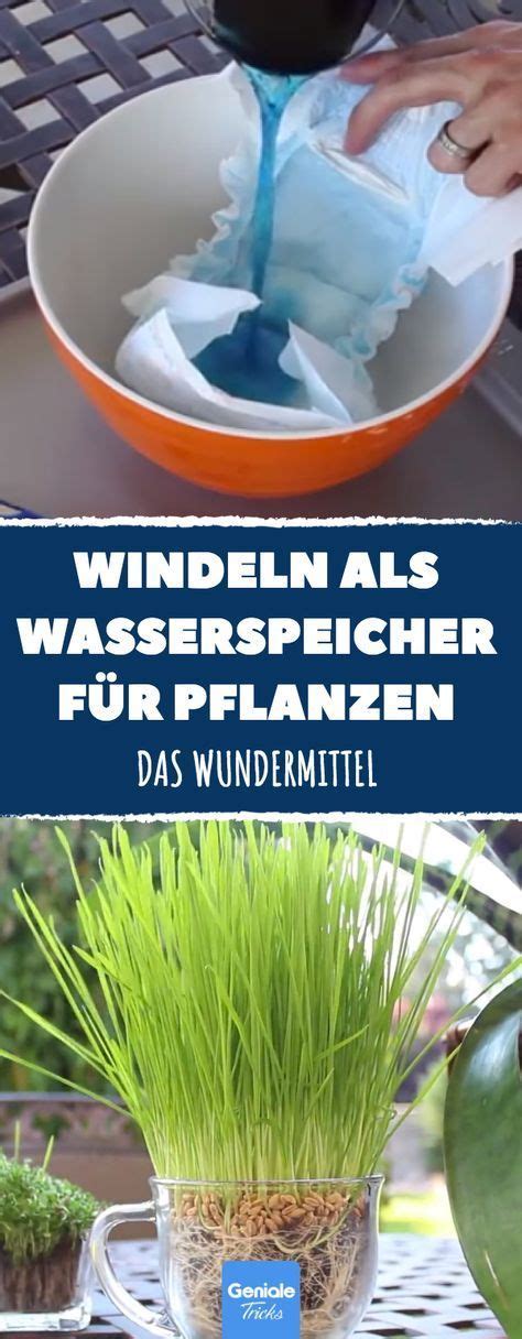 We did not find results for: Granulat aus Windeln ist perfekt um deine Pflanzen zu ...